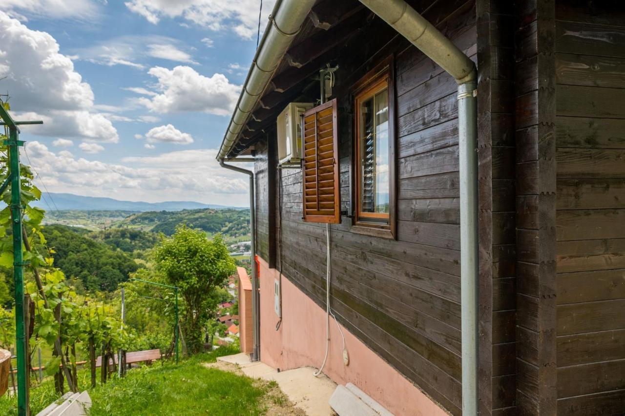 Вілла Hygge Hill Крапінське Топліце Екстер'єр фото
